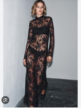 Zara NWT long semi sheer lace dress long sleeves black 1067/644